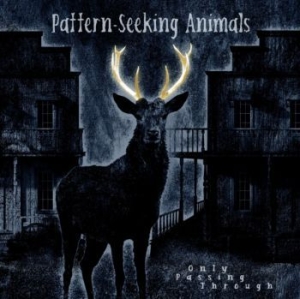 Pattern-Seeking Animals - Only Passing Through i gruppen VINYL / Hårdrock,Pop-Rock hos Bengans Skivbutik AB (4132969)