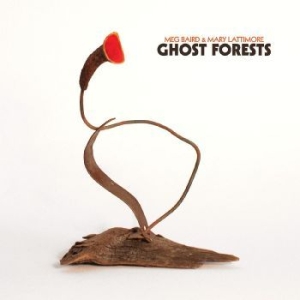 Baird Meg & Mary Lattimore - Ghost Forests (Green) i gruppen VINYL / Worldmusic/ Folkmusik hos Bengans Skivbutik AB (4134285)