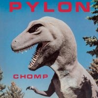 Pylon - Chomp (Indie Exclusive, Black Casse i gruppen Pop-Rock hos Bengans Skivbutik AB (4134342)
