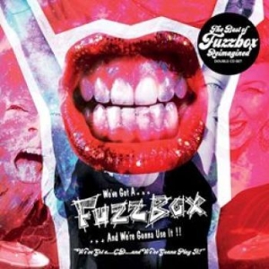 Fuzzbox - We've Got Aà Cdà And We're Gonna Pl i gruppen CD / Rock hos Bengans Skivbutik AB (4135810)