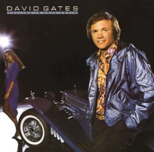 Gates David - Falling In Love Again i gruppen CD / Pop-Rock hos Bengans Skivbutik AB (4135835)