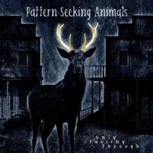 Pattern-Seeking Animals - Only Passing Through i gruppen ÖVRIGT / Övrigt / aub hos Bengans Skivbutik AB (4136985)