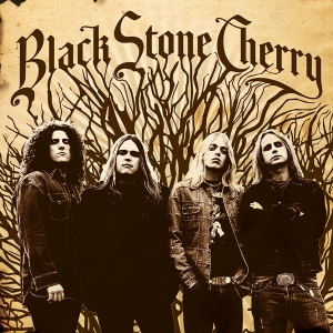 Black Stone Cherry - Black Stone Cherry i gruppen ÖVRIGT / Music On Vinyl - Vårkampanj hos Bengans Skivbutik AB (4138830)