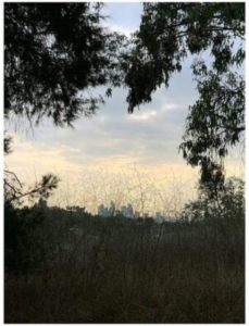 Porras Jon - Arroyo i gruppen VINYL / Rock hos Bengans Skivbutik AB (4139690)