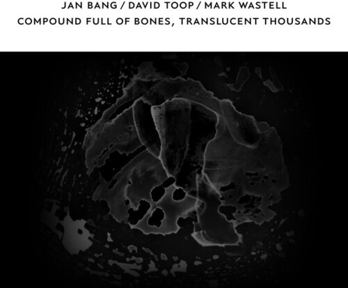 Jan Bang / David Toop / Mark Wastel - Compound Full Of Bones Translucent i gruppen CD / Dans/Techno hos Bengans Skivbutik AB (4139714)