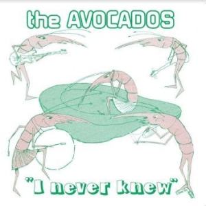 Avocados - I Never Knew i gruppen VINYL / Pop hos Bengans Skivbutik AB (4143142)