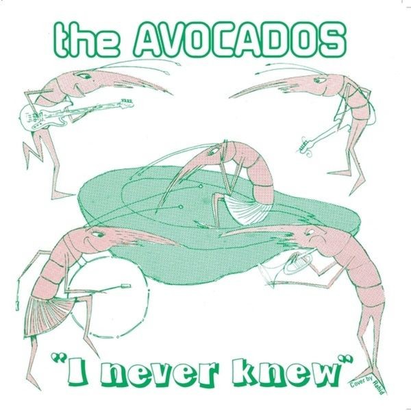 Avocados - I Never Knew i gruppen VINYL / Pop hos Bengans Skivbutik AB (4143142)