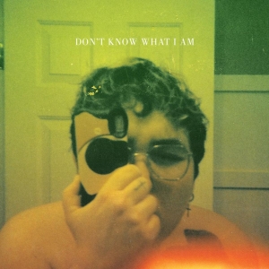 Alien Boy - Don't Know What I Am (Coke Bottle C i gruppen VINYL / Hårdrock,Pop-Rock hos Bengans Skivbutik AB (4143151)