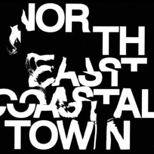 Life - North East Coastal Town (Green) i gruppen VINYL / Rock hos Bengans Skivbutik AB (4143926)