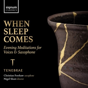 Traditional Hildegard Von Bingen - When Sleep Comes - Evening Meditati i gruppen CD / Klassiskt hos Bengans Skivbutik AB (4145990)