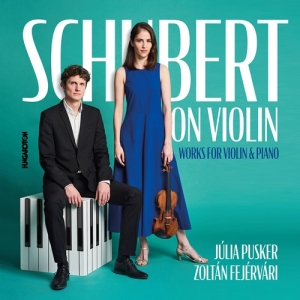 Schubert Franz - Schubert On Violin - Works For Viol i gruppen CD / Klassiskt hos Bengans Skivbutik AB (4146002)