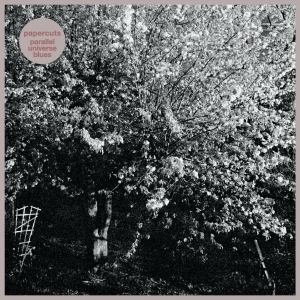 Papercuts - Parallel Universe Blues i gruppen VINYL / Pop-Rock hos Bengans Skivbutik AB (4146691)
