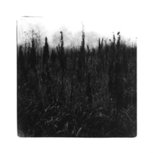 Bennet David & Vilhelm Bromander - Within Reach Of Eventuality i gruppen CD / Jazz hos Bengans Skivbutik AB (4147282)