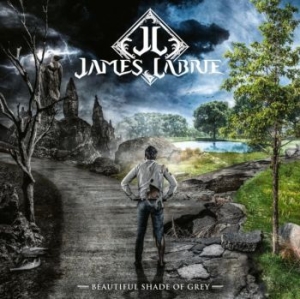 Labrie James - Beautiful Shade Of Grey i gruppen VINYL / Pop-Rock hos Bengans Skivbutik AB (4147709)