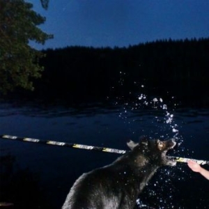 Bad Sauna - Potslojo i gruppen VINYL / Finsk Musik,Pop-Rock hos Bengans Skivbutik AB (4147944)