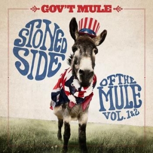 Gov't Mule - Stoned Side Of The Mule i gruppen CD / Rock hos Bengans Skivbutik AB (4149330)
