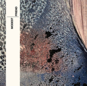 Modest - Friend i gruppen ÖVRIGT / Övrigt / aub hos Bengans Skivbutik AB (4150695)