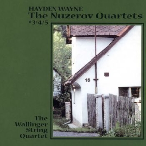 Wayne Hayden & The Wallinger String - Nuzerov Quartets 3, 4 & 5 i gruppen CD / Pop hos Bengans Skivbutik AB (4150752)