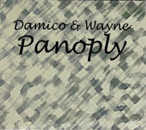 Wayne Hayden & Jason Damico - Panoply Damico & Wayne i gruppen CD / Pop hos Bengans Skivbutik AB (4150827)