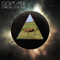 Gov't Mule - Dark Side Of The Mule (Glow In The i gruppen VINYL / Blues,Jazz hos Bengans Skivbutik AB (4151066)