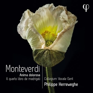 Monteverdi Claudio - Il Quarto Libro De Madrigali i gruppen Externt_Lager / Naxoslager hos Bengans Skivbutik AB (4151150)