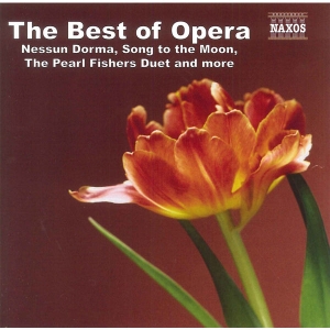 Various - The Best Of Opera i gruppen ÖVRIGT / cdonuppdat / CDON Jazz klassiskt NX hos Bengans Skivbutik AB (4151219)