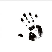 Schnitzler Conrad - Con 84 i gruppen CD / Pop-Rock hos Bengans Skivbutik AB (4154435)