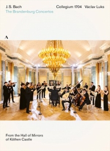 Bach Johann Sebastian - The Brandenburg Concertos (Dvd) i gruppen Externt_Lager / Naxoslager hos Bengans Skivbutik AB (4154505)