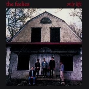 Feelies - Only Life i gruppen CD / Pop-Rock,Övrigt hos Bengans Skivbutik AB (4154537)