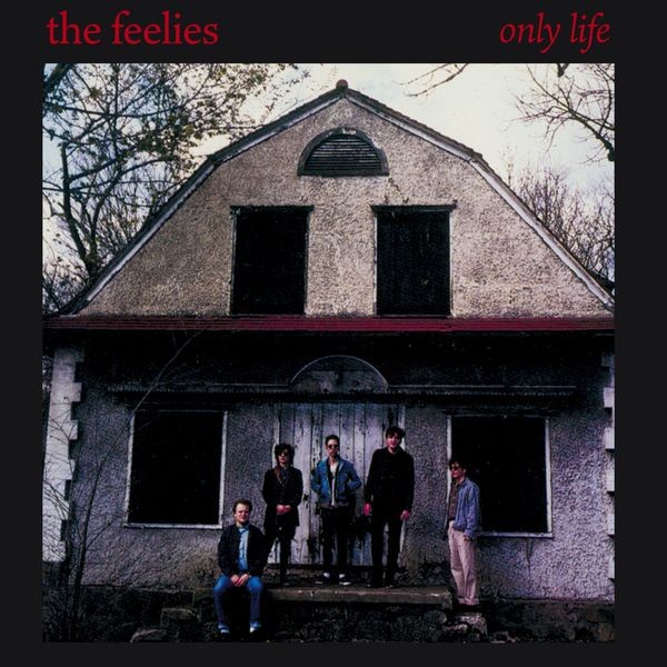 The Feelies - Only Life i gruppen CD / Pop-Rock hos Bengans Skivbutik AB (4154537)