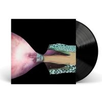 Painted Shield - Painted Shield 2 i gruppen VINYL / Rock hos Bengans Skivbutik AB (4156286)
