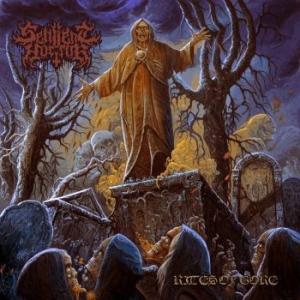 Sentient Horror - Rites Of Gore i gruppen CD / Hårdrock hos Bengans Skivbutik AB (4156343)