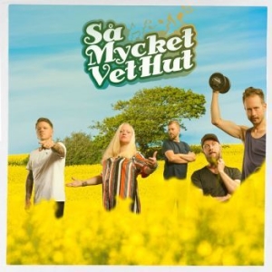 Vet Hut - Så Mycket Vet Hut (Gul Vinyl Lp + C i gruppen VINYL / Rock hos Bengans Skivbutik AB (4157444)