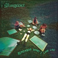 Inflorescence The - Remember What I Look Like (Clear Wi i gruppen VINYL / Pop-Rock hos Bengans Skivbutik AB (4158604)