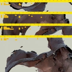 Awe Kid - Body Logic i gruppen VINYL / Pop-Rock hos Bengans Skivbutik AB (4158632)