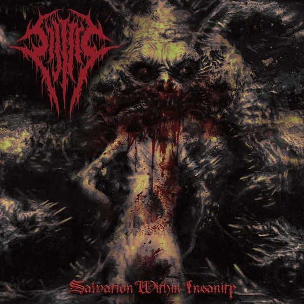 Sijjeel - Salvation Within Insanity i gruppen CD / Hårdrock/ Heavy metal hos Bengans Skivbutik AB (4158807)