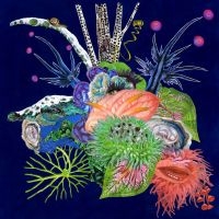 Oæo - Touche i gruppen CD / Pop-Rock hos Bengans Skivbutik AB (4158822)