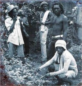 Knowledge - Straight And Narrow i gruppen CD / Reggae hos Bengans Skivbutik AB (4158836)