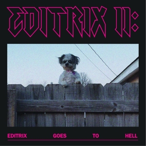 Editrix - Editrix Ii: Editrix Goes To Hell i gruppen VINYL / Rock hos Bengans Skivbutik AB (4160654)