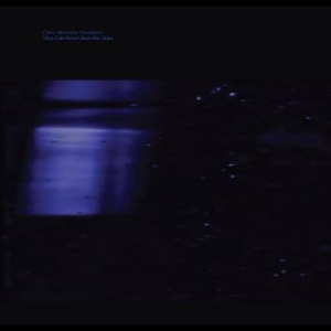 Thompson Chloe Alexandra - They Will Never Burn The Stars i gruppen VINYL / Pop-Rock hos Bengans Skivbutik AB (4160664)