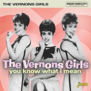 Vernons Girls - You Know What I Mean i gruppen CD / Pop hos Bengans Skivbutik AB (4160771)