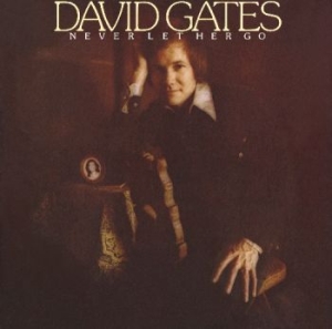 Gates David - Never Let Her Go i gruppen CD / Pop-Rock hos Bengans Skivbutik AB (4160836)