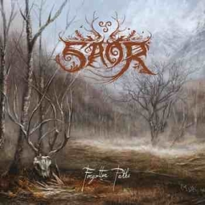 Saor - Forgotten Paths i gruppen VINYL / Hårdrock/ Heavy metal hos Bengans Skivbutik AB (4161161)