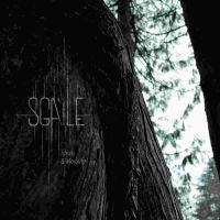 SGÀILE - IDEALS & MORALITY i gruppen VINYL / Hårdrock hos Bengans Skivbutik AB (4161196)