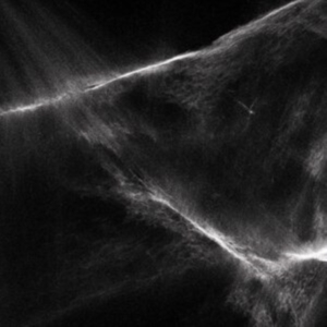 Final Light - Final Light (White/Black Splatter V i gruppen VINYL / Hårdrock,Svensk Musik hos Bengans Skivbutik AB (4161224)