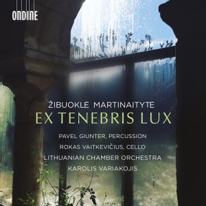 Martinaityte Zibuokle - Ex Tenebris Lux i gruppen Externt_Lager / Naxoslager hos Bengans Skivbutik AB (4162286)