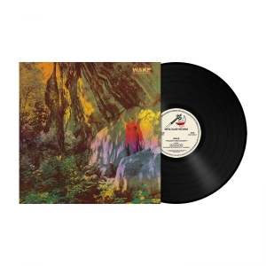Wake - Thought Form Descent (Black Vinyl L i gruppen VINYL / Hårdrock hos Bengans Skivbutik AB (4162415)