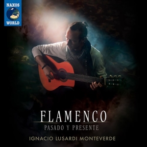 Monteverde Ignacio Lusardi - Flamenco - Pasado Y Presente i gruppen CD / World Music hos Bengans Skivbutik AB (4163964)