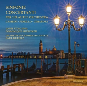 Various - Sinfonie Concertanti For 2 Flutes i gruppen Externt_Lager / Naxoslager hos Bengans Skivbutik AB (4164090)