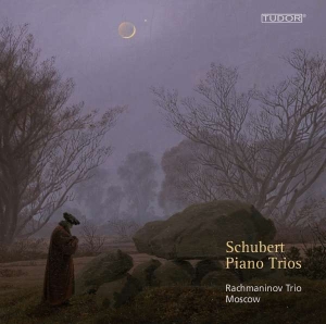 Schubert Franz - Piano Trios D898, D28, D929, D897 i gruppen Externt_Lager / Naxoslager hos Bengans Skivbutik AB (4164092)